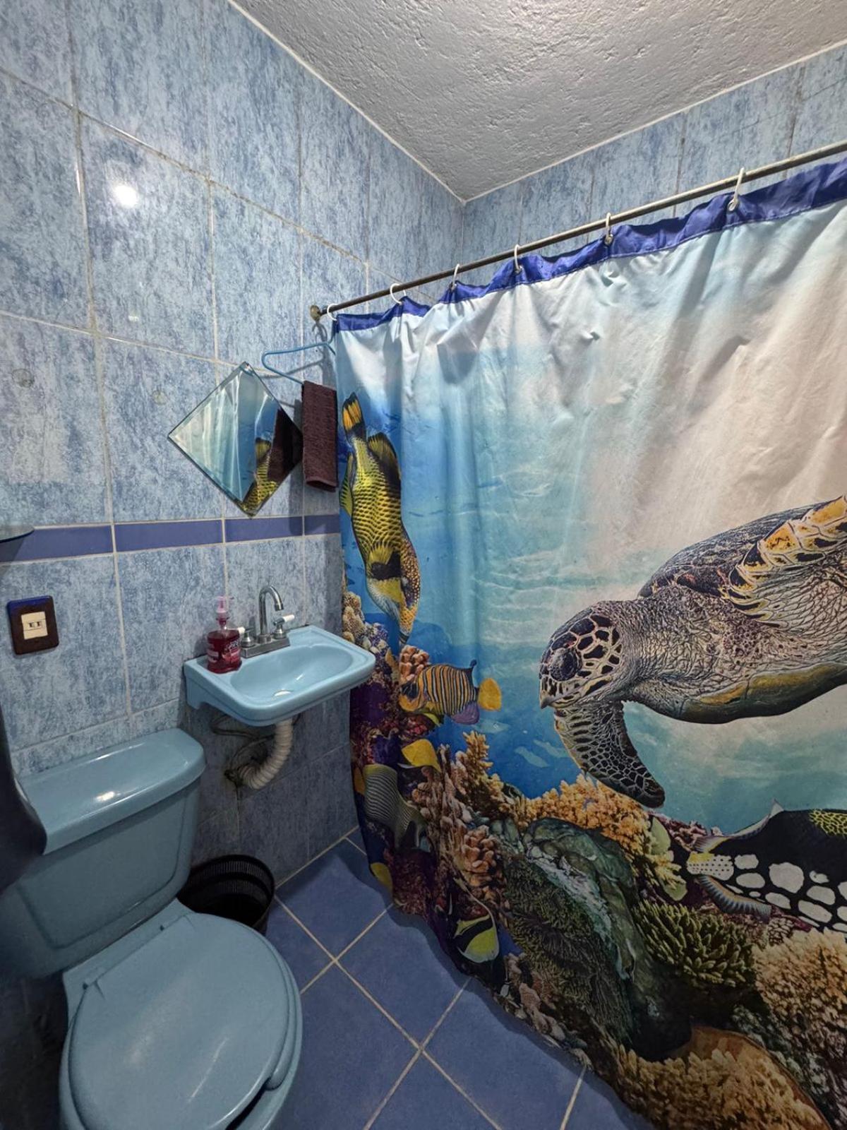 Lindo Homestay Mexico City